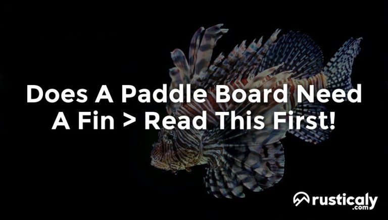 does a paddle board need a fin