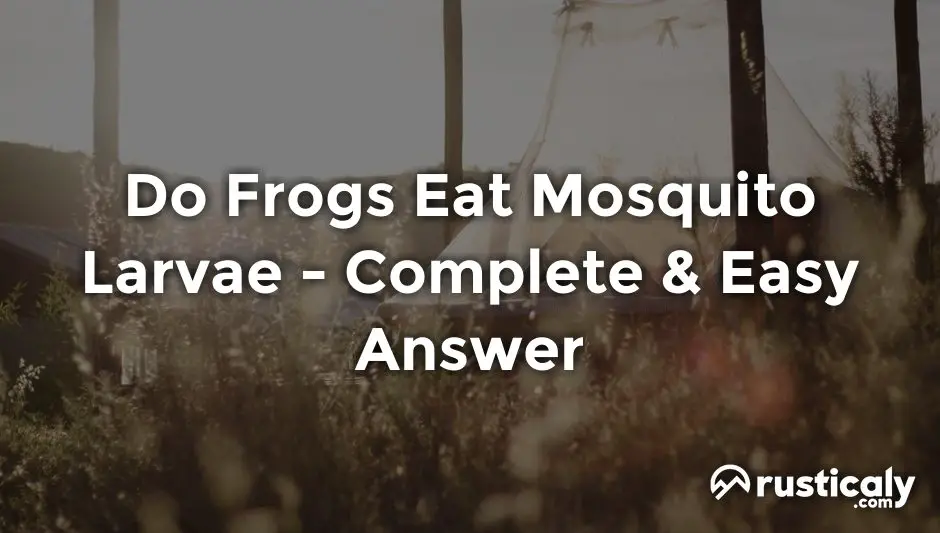 do frogs eat mosquito larvae