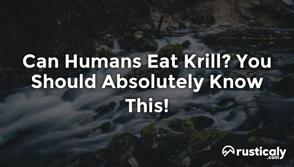 can humans eat krill