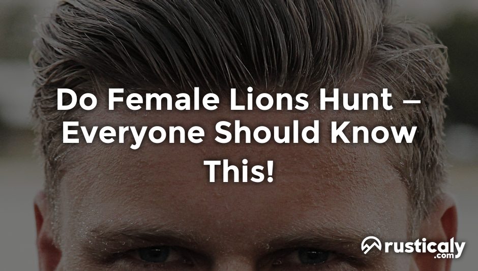 do female lions hunt