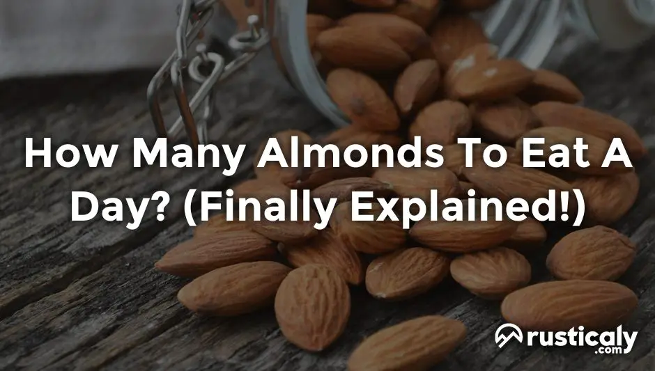 How Many Almonds To Eat A Day? (Finally Explained!)