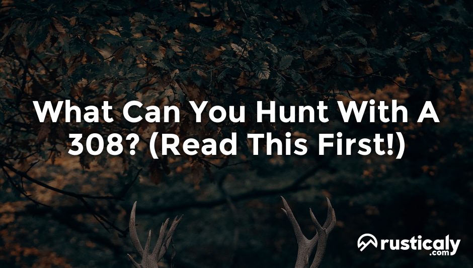 what can you hunt with a 308