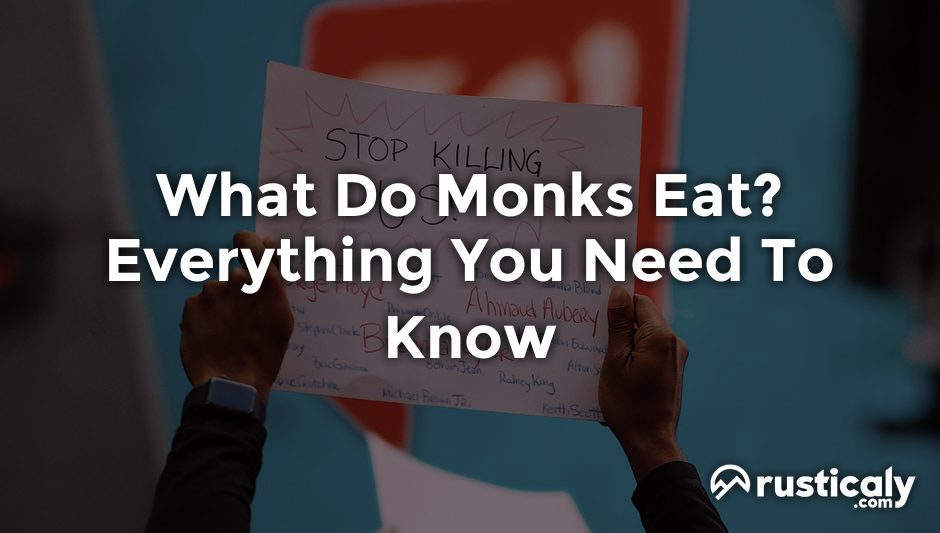 what do monks eat