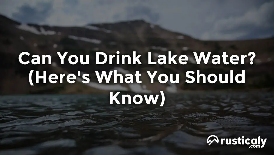 can you drink lake water