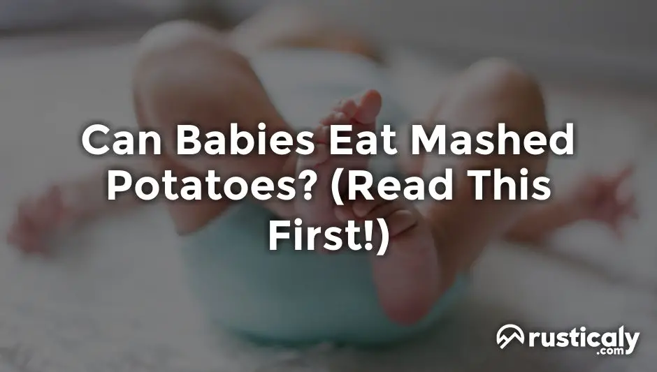 can babies eat mashed potatoes