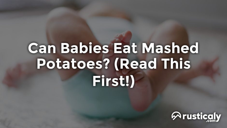 can babies eat mashed potatoes