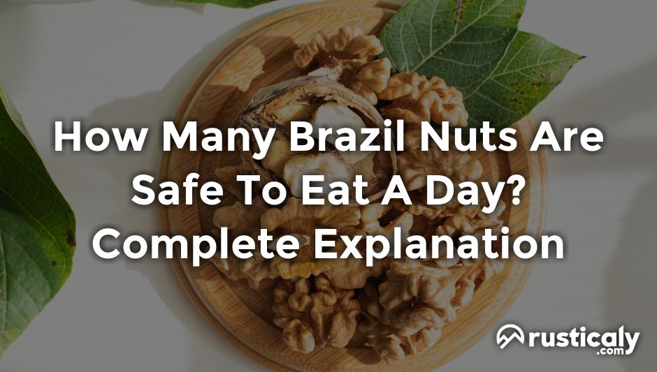 how many brazil nuts are safe to eat a day