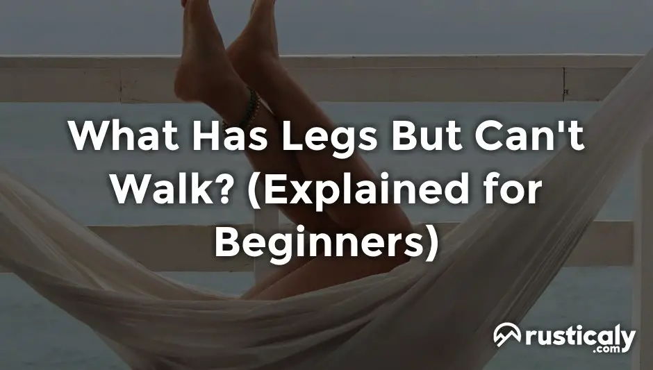 what has legs but can't walk