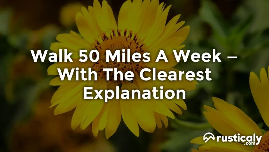 walk 50 miles a week