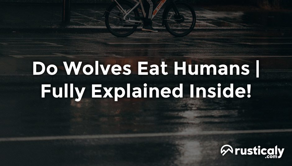 do wolves eat humans