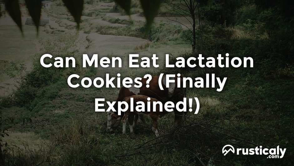 can men eat lactation cookies