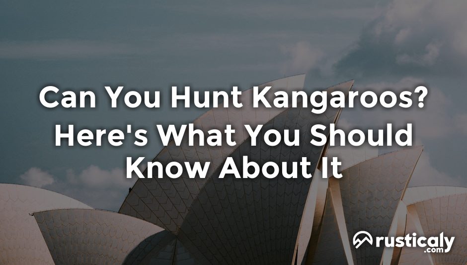 can you hunt kangaroos