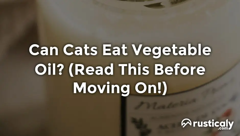 can cats eat vegetable oil