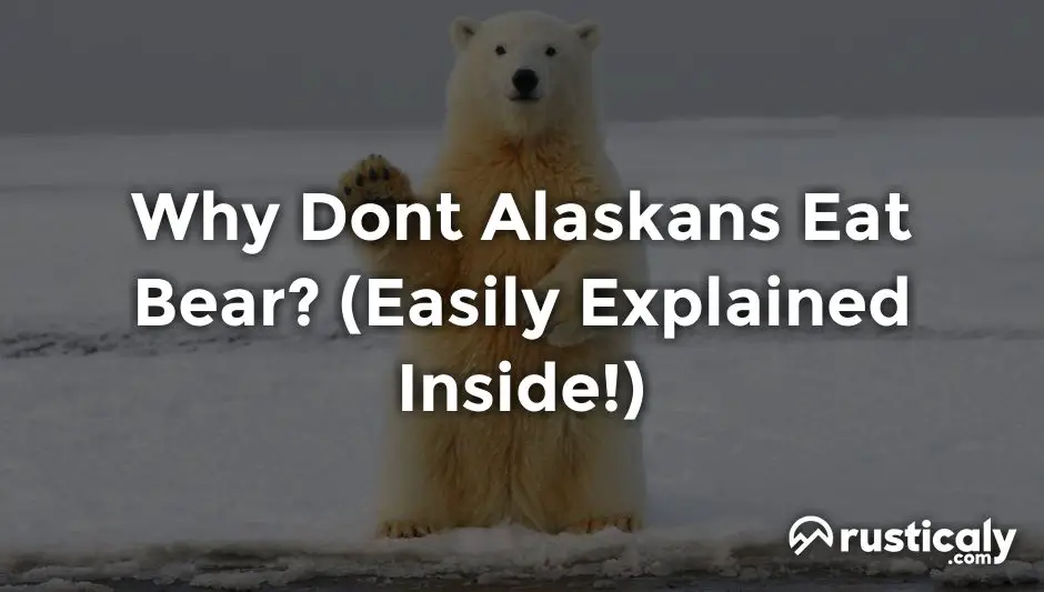 why dont alaskans eat bear