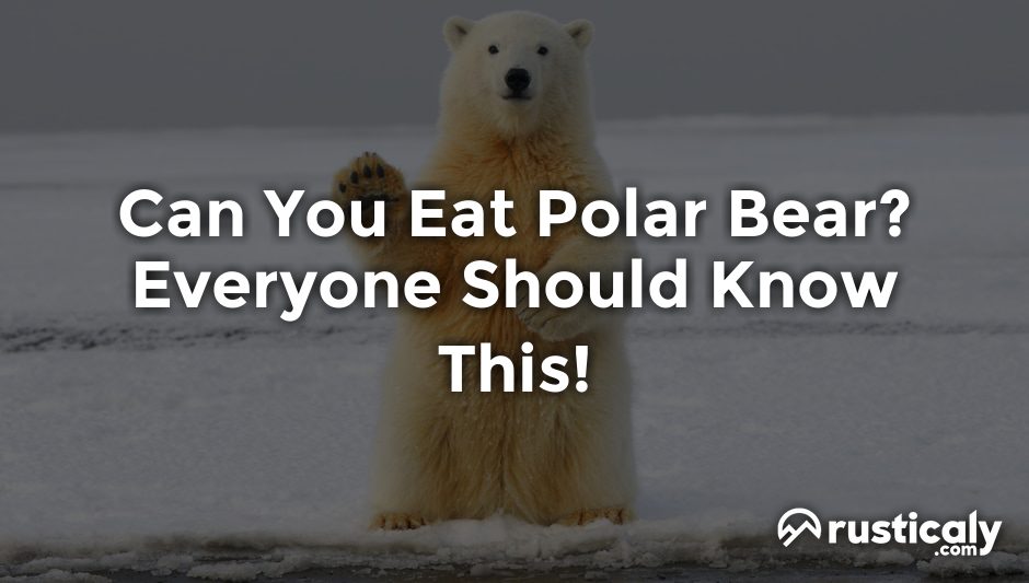 can you eat polar bear