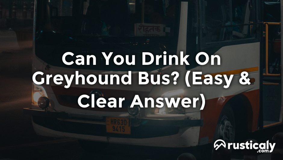 can you drink on greyhound bus