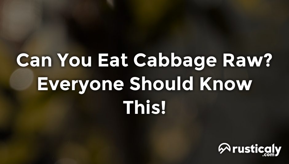 can you eat cabbage raw