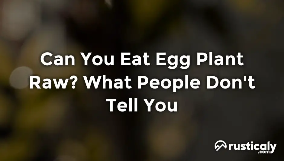 can you eat egg plant raw
