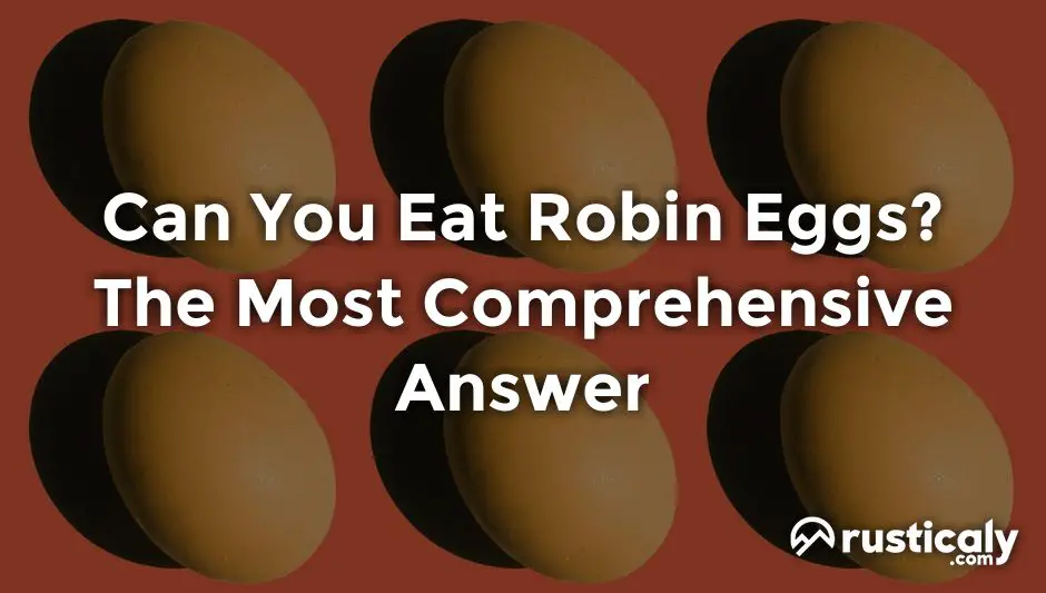 can you eat robin eggs