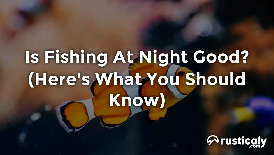is fishing at night good