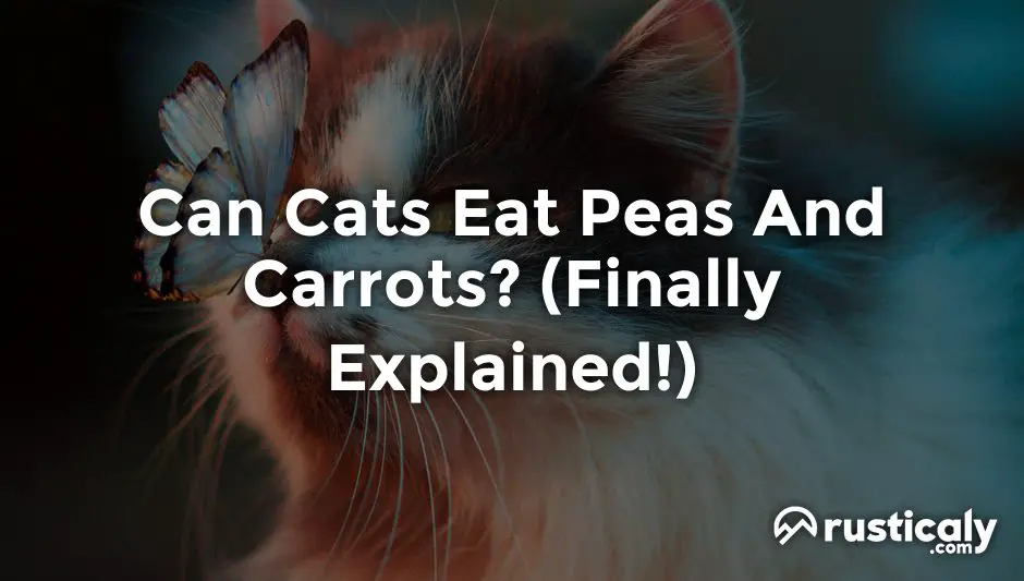 can cats eat peas and carrots