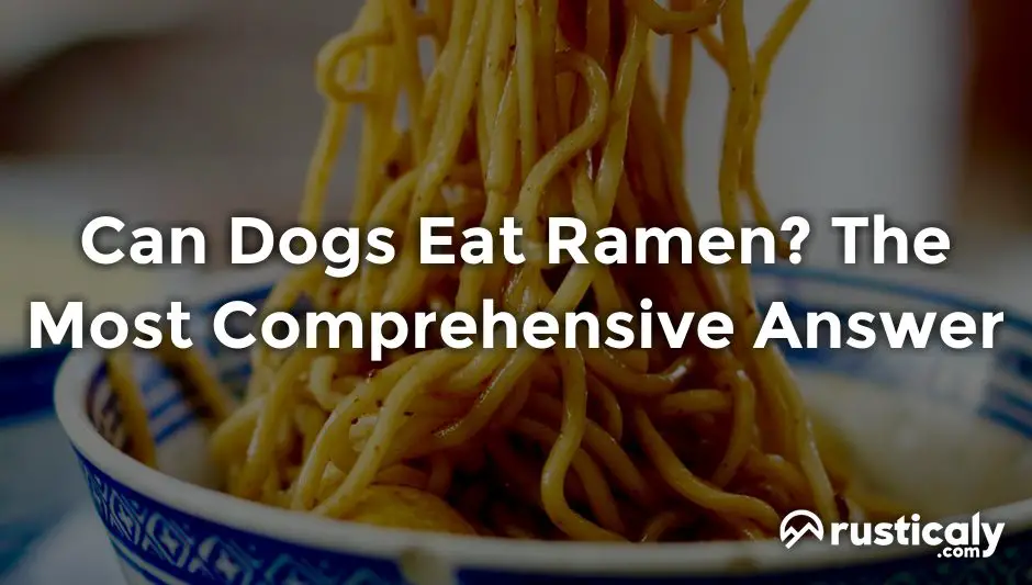 can dogs eat ramen