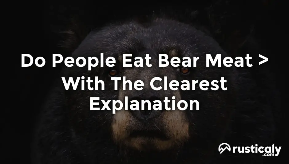 do people eat bear meat