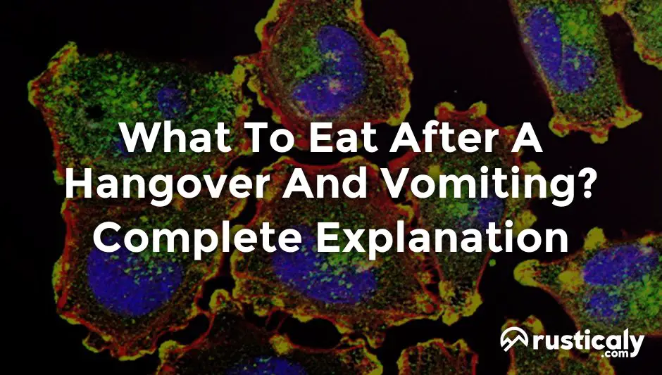 what to eat after a hangover and vomiting