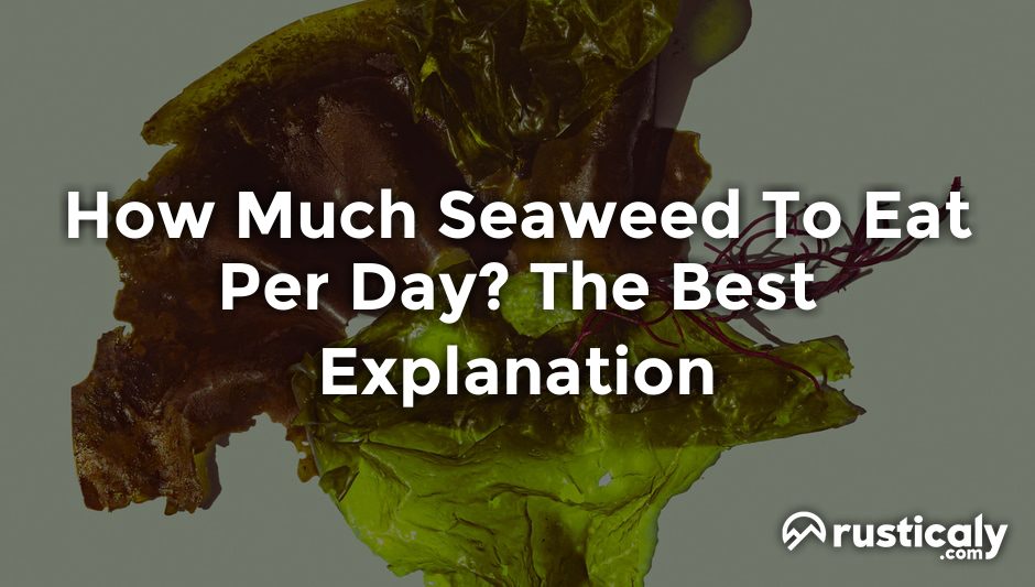 how much seaweed to eat per day