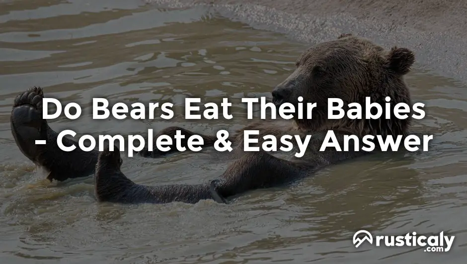 do bears eat their babies