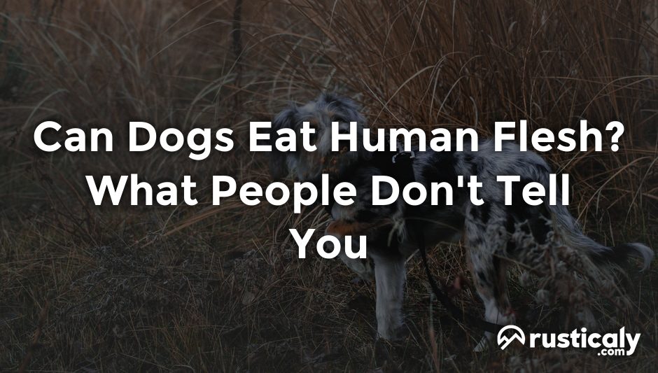 can dogs eat human flesh