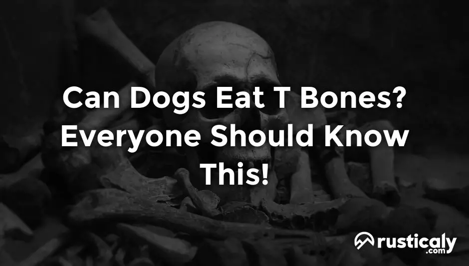 can dogs eat t bones