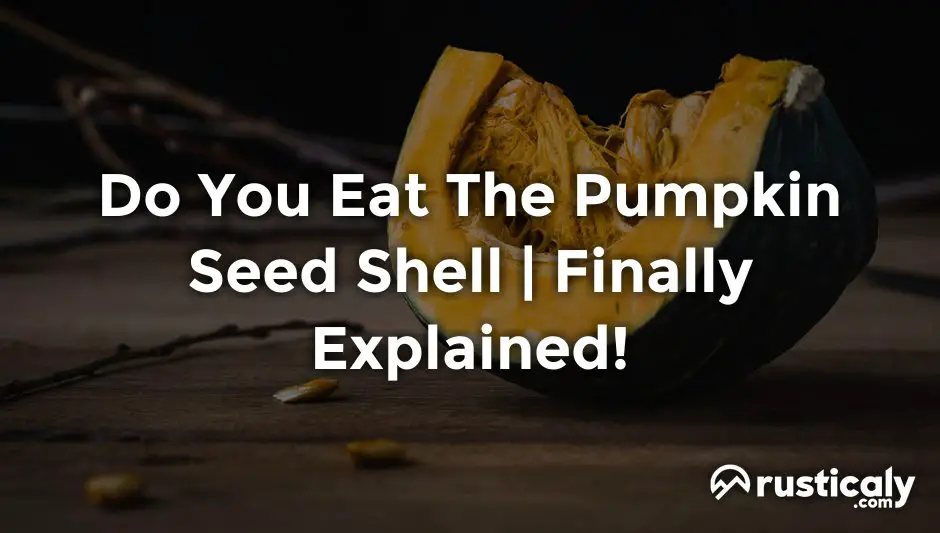 do you eat the pumpkin seed shell