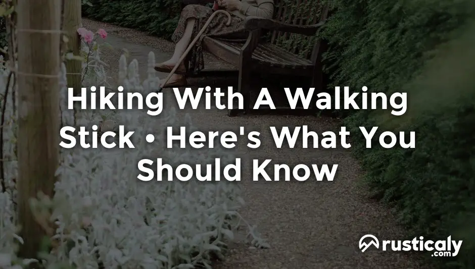 hiking with a walking stick