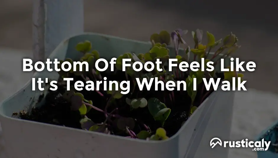 bottom of foot feels like it's tearing when i walk