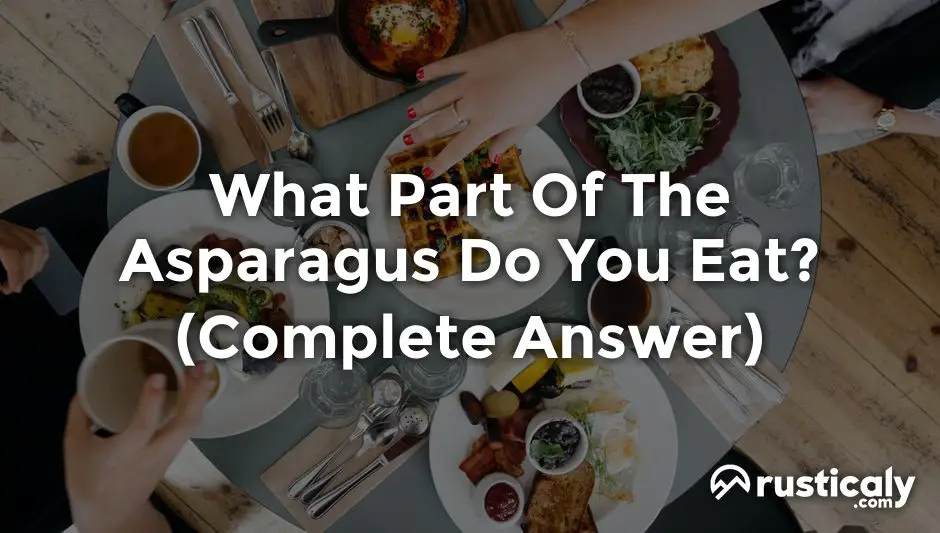 what part of the asparagus do you eat