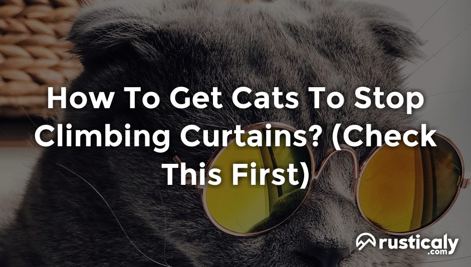 how to get cats to stop climbing curtains