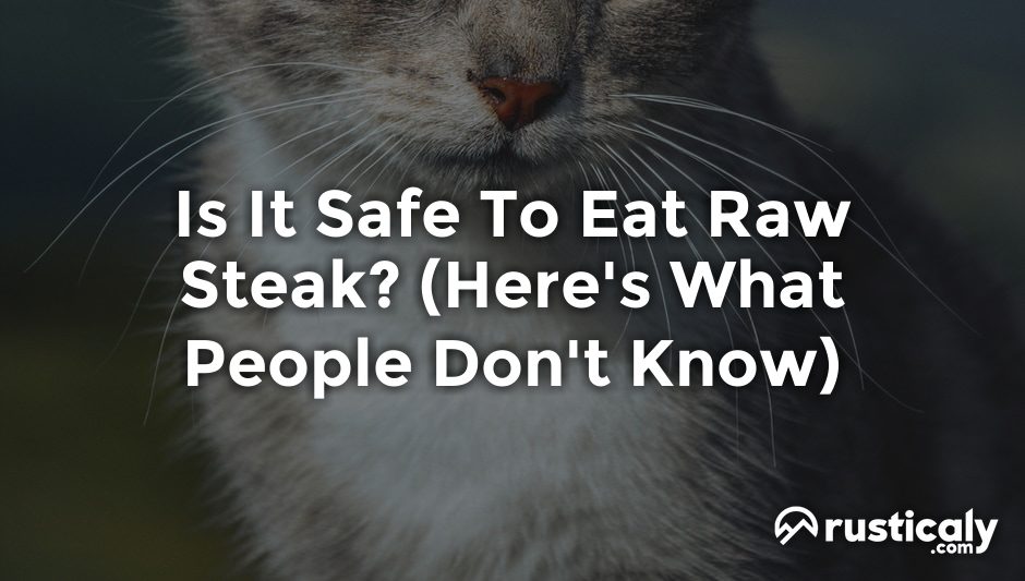 is it safe to eat raw steak