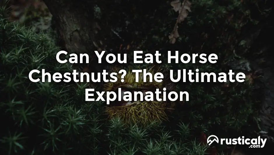 can you eat horse chestnuts