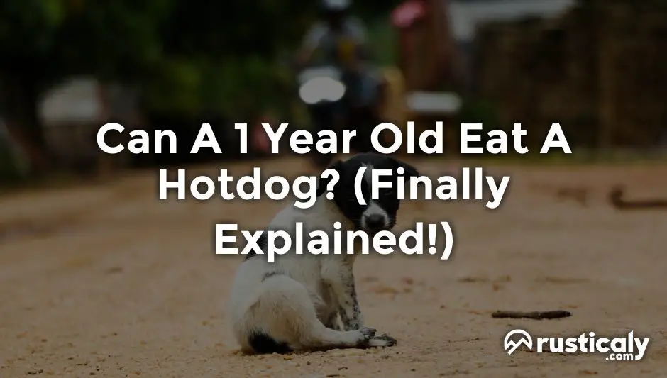 can a 1 year old eat a hotdog