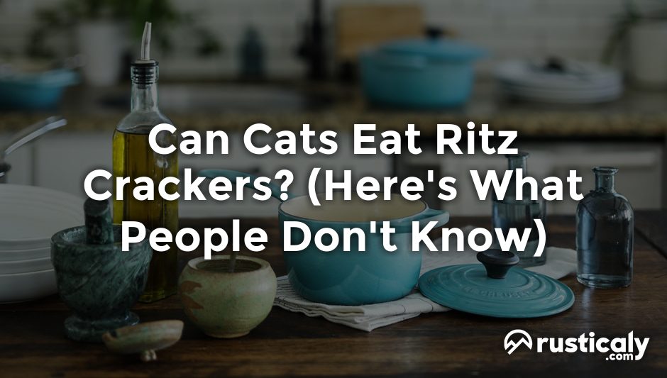 can cats eat ritz crackers