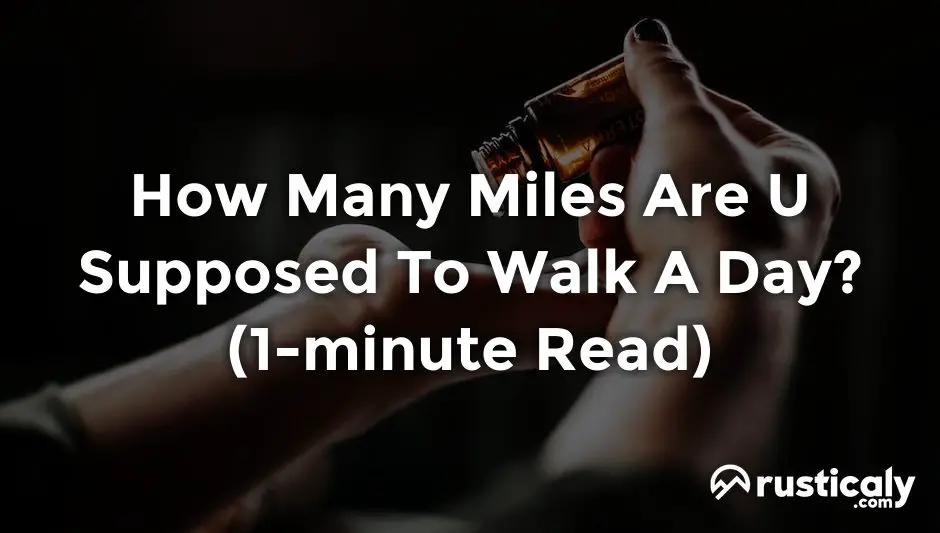 how many miles are u supposed to walk a day