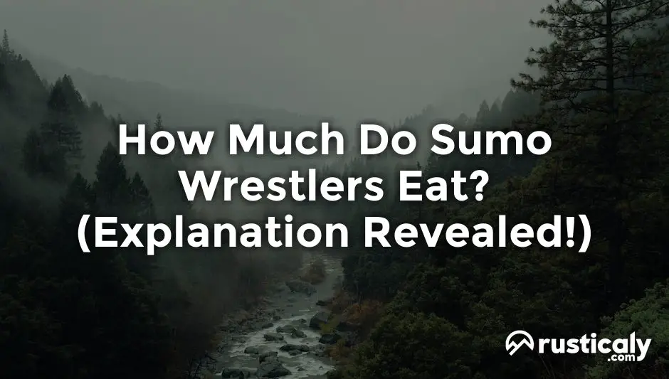 how much do sumo wrestlers eat