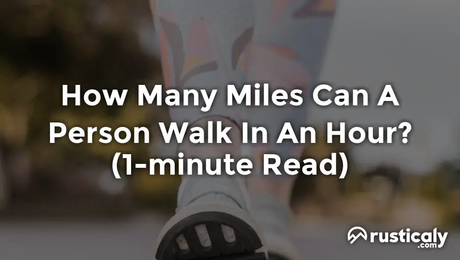 how many miles can a person walk in an hour