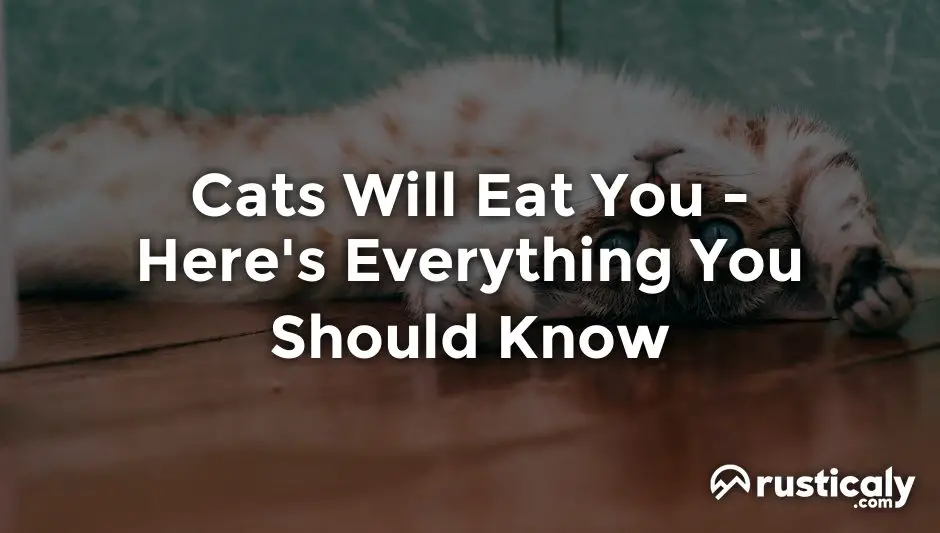 cats will eat you