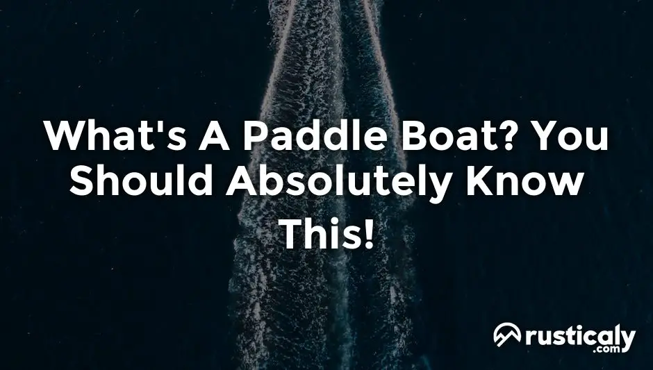 what's a paddle boat