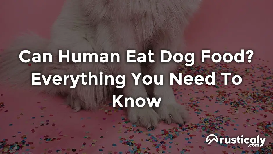 can human eat dog food