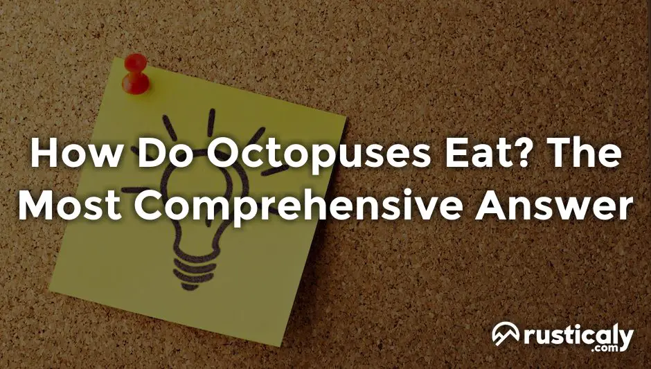 how do octopuses eat