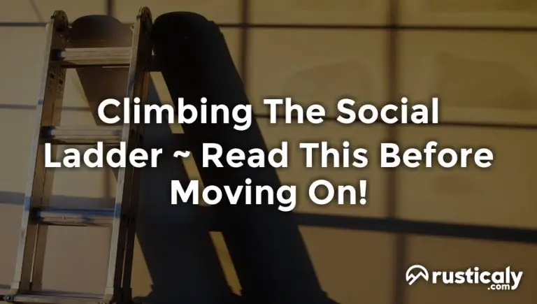 climbing the social ladder