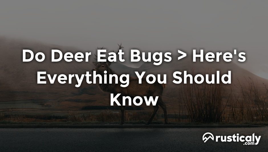 do deer eat bugs